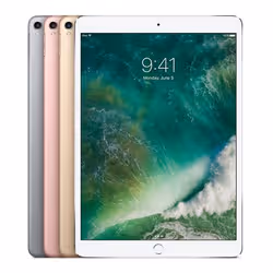 Apple iPad Pro 256 Go 26,7 cm (10.5") iOS 10 Gris - Vue supplémentaire 2
